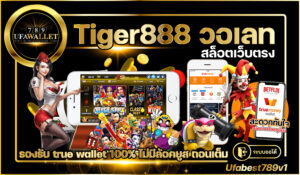 Tiger888-วอเลท