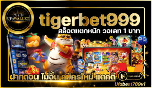 tigerbet999 สล็อต โอน ทรู วอเลท 1 บาท ก็รวยได้